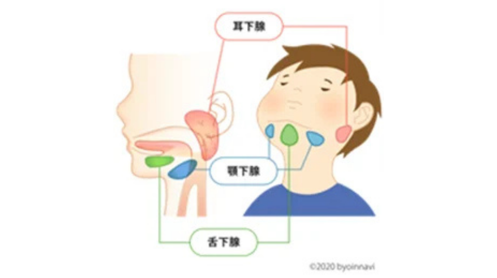 おたふく風邪の初期症状は?原因や感染経路、合併症について解説