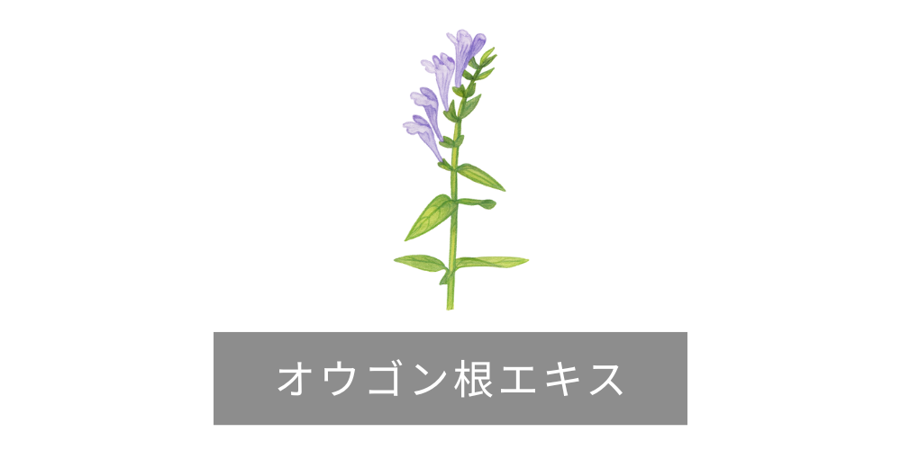 オウゴン根エキス