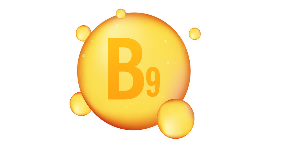 ビタミンB9