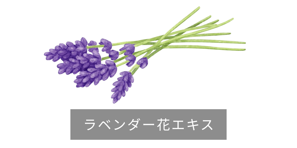 ラベンダー花エキス