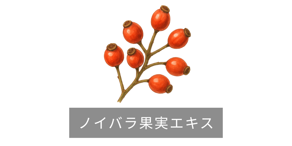 ノイバラ果実エキス