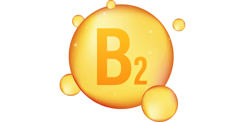 ビタミンB2