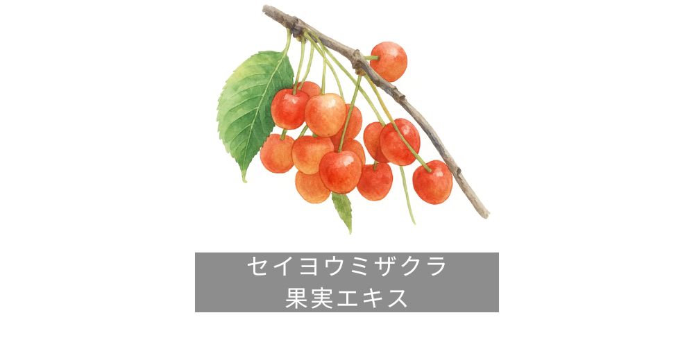 セイヨウミザクラ果実エキス