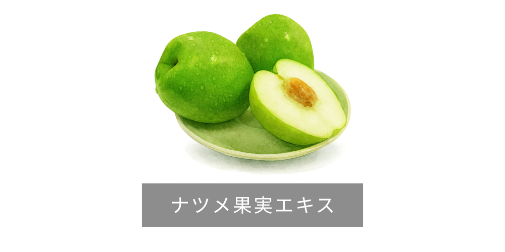 ナツメ果実エキス