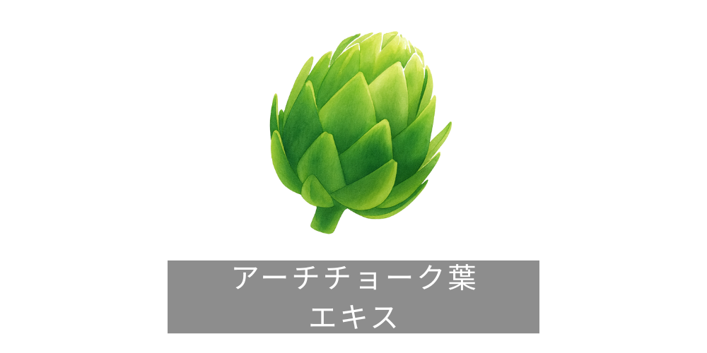 アーチチョーク葉エキス