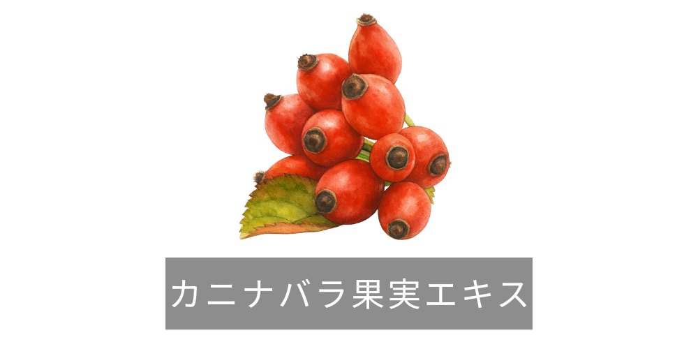 カニナバラ果実エキス