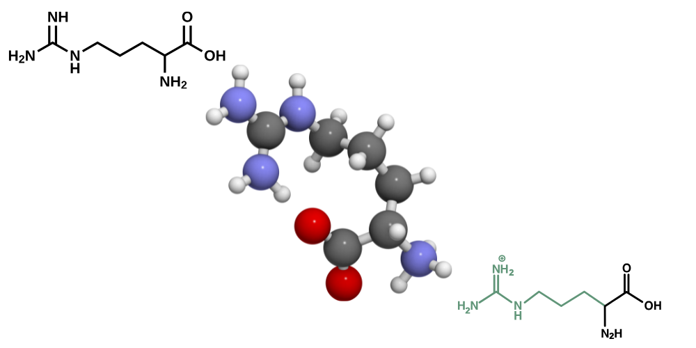 ジヒドロキシプロピルアルギニンHCL